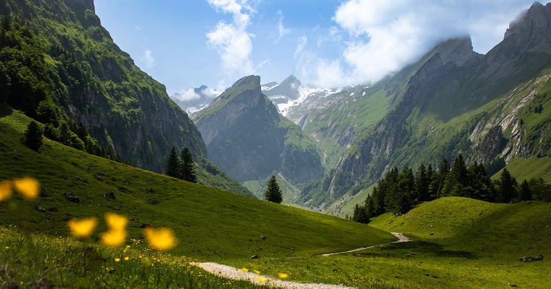 Itinéraire nature en famille autour du Rejallant : la balade idéale