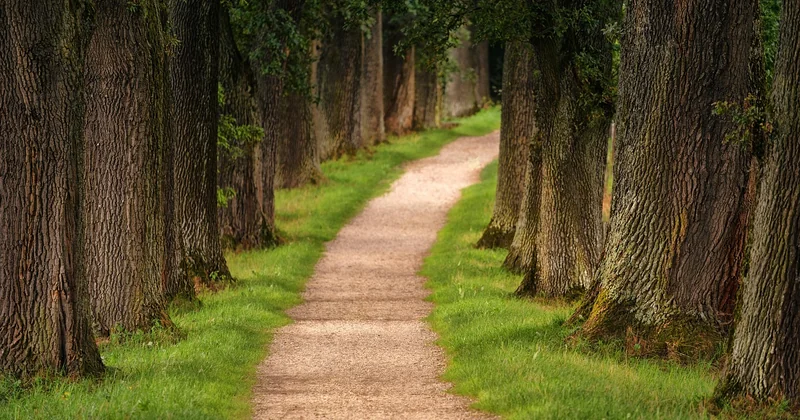 Comment vérifier l'accessibilité réelle d'un sentier avant de partir