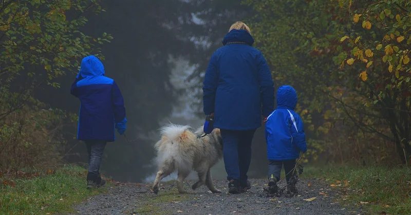 Balade en forêt avec poussette : ce que personne ne vous dit