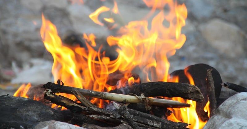 Randonnée facile avec enfants en forêt : 7 idées de balades sans effort